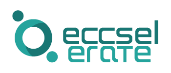 ECCSELERATE logo logo