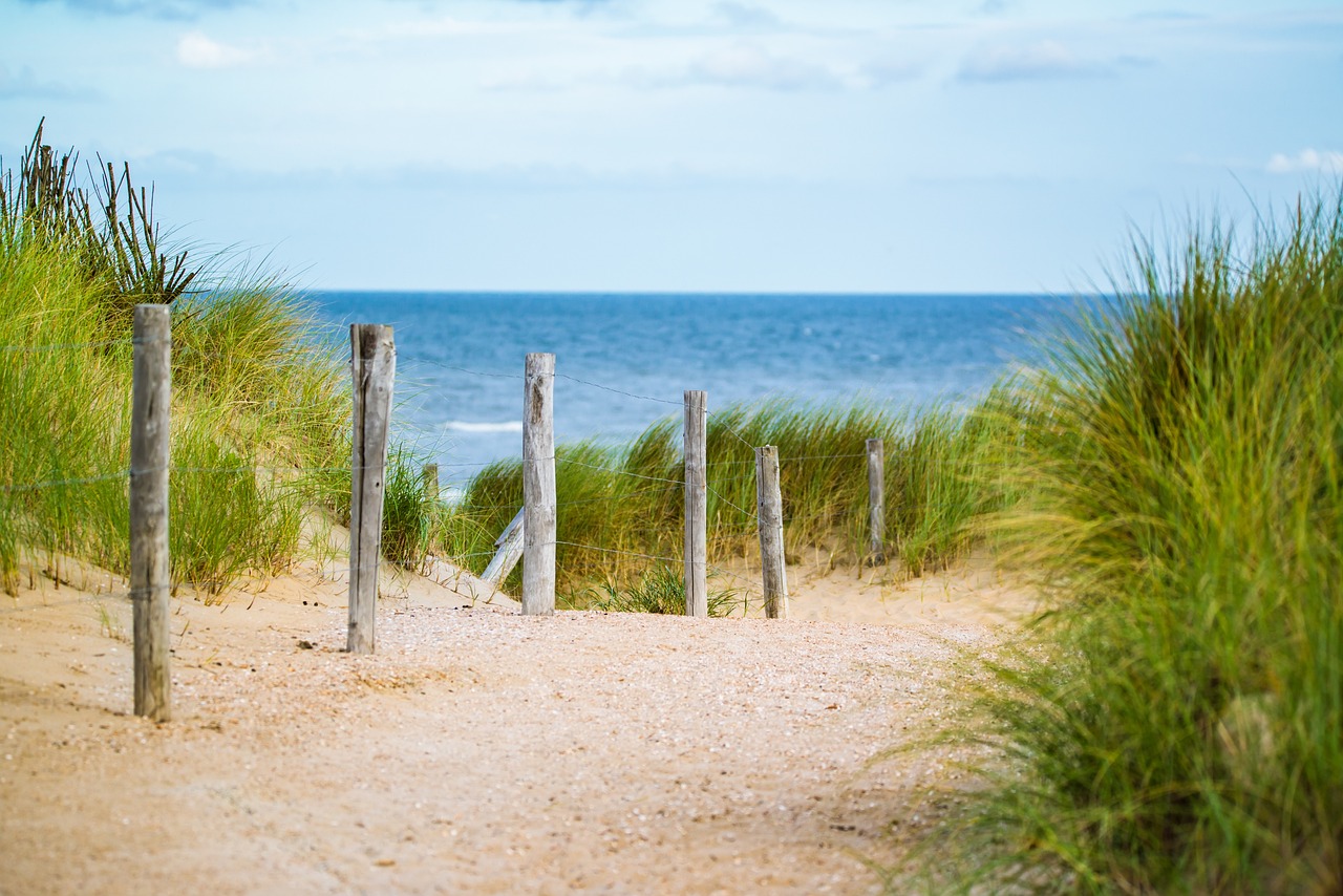 Thin sea fence logo