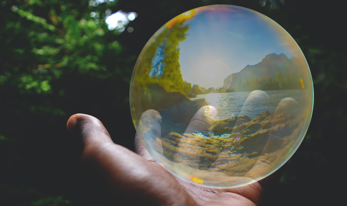 Hand holding a sphere with landscape logo