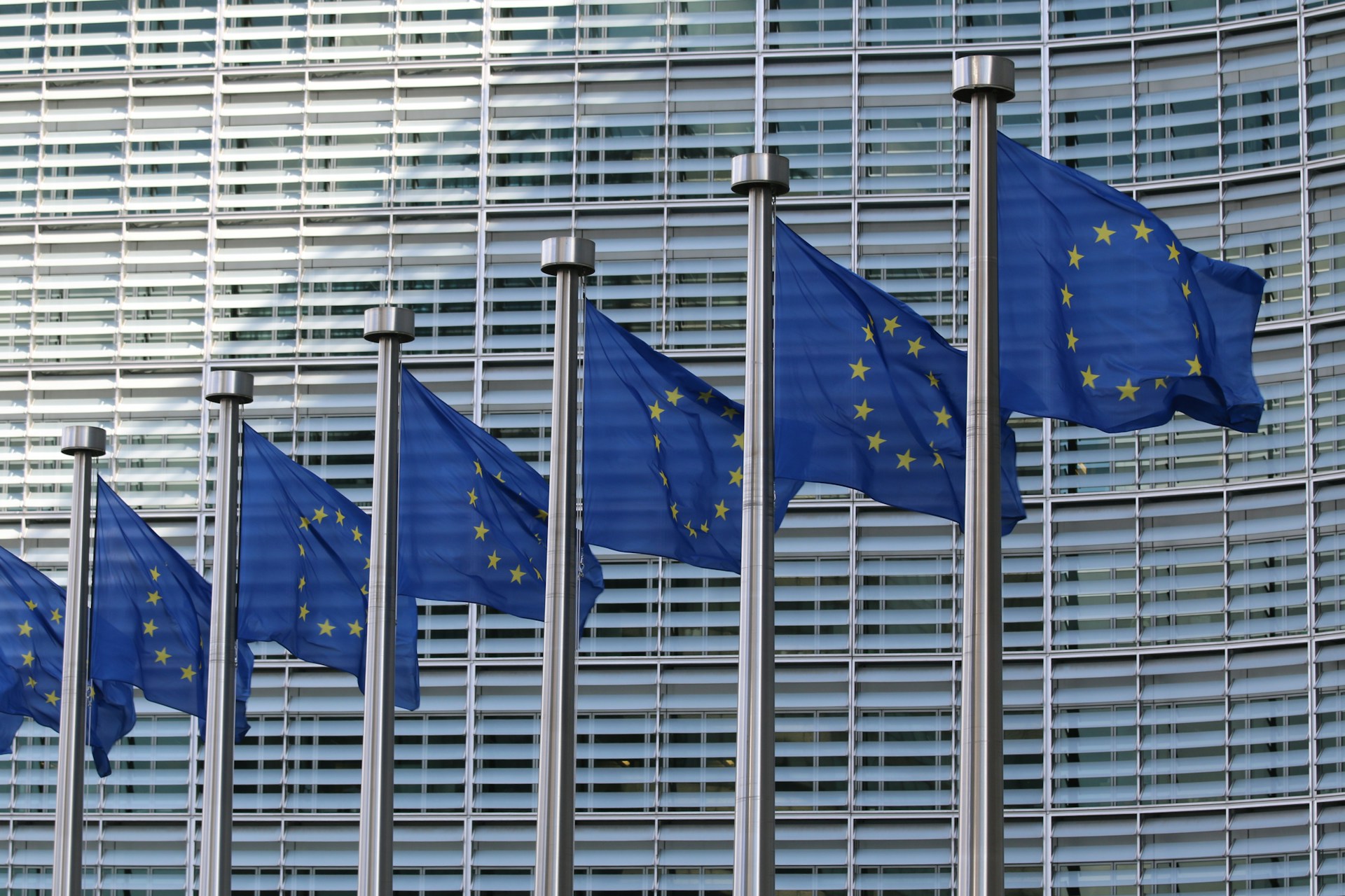 EU flags logo